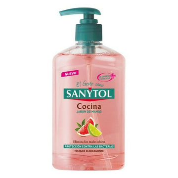 Handseife mit Spender Antibacterias Kitchen Sanytol 280120 (250 ml) 250 ml