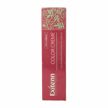 Permanent färg Exitenn Color Creme Nº 12/0.22 (60 ml)